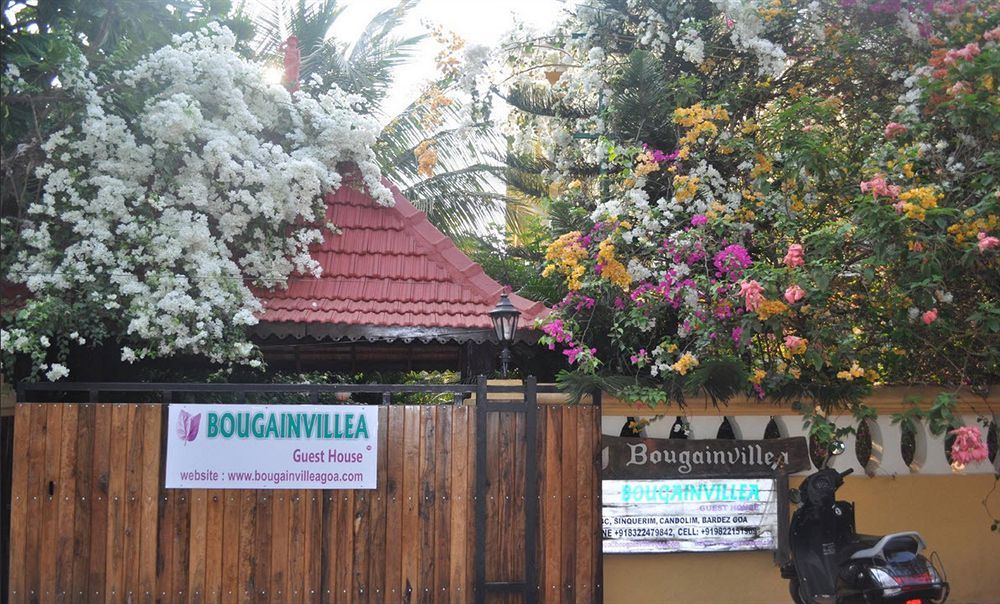 קנדולים Bougainvillea Guest House מראה חיצוני תמונה